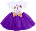 Baby Girls 1St 2Nd Birthday Outfit Tutu Princess Dress for Cake Smash